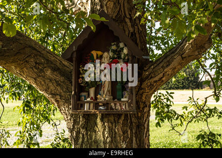 Votiv AEDI-gewidmet der Jungfrau Maria auf einem Baum in der Nähe der mittelalterlichen Landschaft Kirche Campanile befindet sich in der Ortschaft Santa Maria in Fabriago in der Region Emilia-Romagna in Norditalien Stockfoto