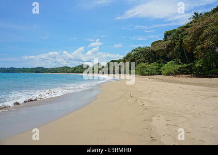 Unberührten Strand von Cocles an der Karibik Küste von Costa Rica, Puerto Viejo de Talamanca Stockfoto