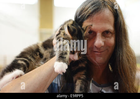 Israel. 1. November 2014. Der internationalen Katzenausstellung eröffnet in Israel, koordiniert durch die neue israelische Katze Alliance (NICA), mit 125 Katzen weit reichende Rassen. Bildnachweis: Laura Chiesa/Pacific Press/Alamy Live-Nachrichten Stockfoto