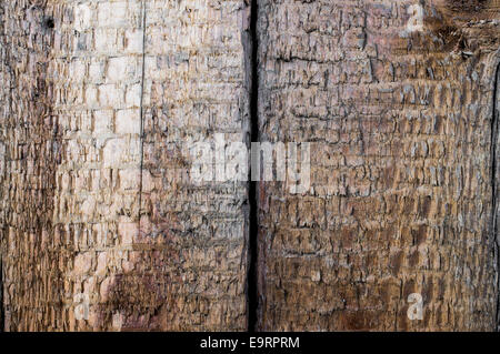 Sehr alte Holzbretter Hintergrund Stockfoto