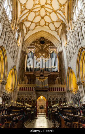 Der Chor und das wichtigste Organ der Wells Cathedral. Somerset UK. Stockfoto