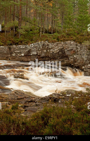 Fluß Blackwater in Flut nach schweren Regen Herbst Stockfoto