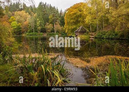 Loch Dunmore, Faskally, Pitlochry, Schottland, Großbritannien Stockfoto