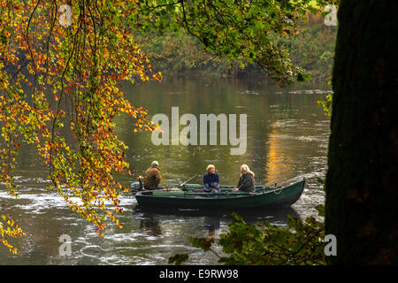 Harling am Fluss Tay, Dunkeld, Perthshire, Schottland Stockfoto