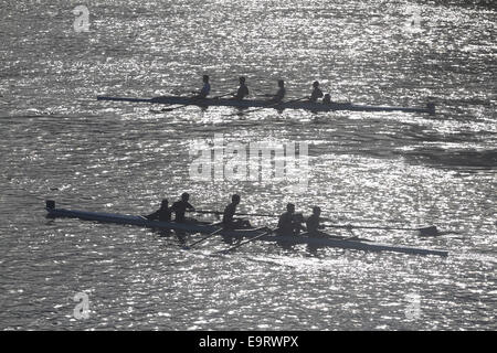 Putney, London, UK. 1. November 2014. UK-Wetter. Wriggen Boote Praxis auf der Themse in Putney London Credit: Amer Ghazzal/Alamy Live-Nachrichten Stockfoto