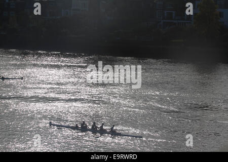 Putney, London, UK. 1. November 2014. UK-Wetter. Wriggen Boote Praxis auf der Themse in Putney London Credit: Amer Ghazzal/Alamy Live-Nachrichten Stockfoto