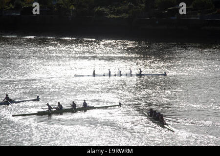 Putney, London, UK. 1. November 2014. UK-Wetter. Wriggen Boote Praxis auf der Themse in Putney London Credit: Amer Ghazzal/Alamy Live-Nachrichten Stockfoto