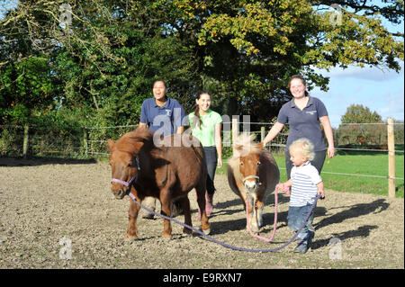 Heimatländer Equestrian Centre, Rebhuhn grün, West Sussex, UK. 1. November 2014. Personal und Familie genießen die warme November Sonnenstrahlen sammeln die Ponys der Nacht. Einen krassen aber einladend Unterschied zu einem regulären Herbst matschig und Kühler-Kampf. Bildnachweis: Julie Priestley/Alamy Live-Nachrichten Stockfoto