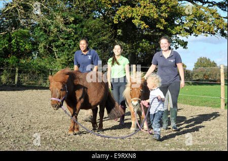 Heimatländer Equestrian Centre, Rebhuhn grün, West Sussex, UK. 1. November 2014. Personal und Familie genießen die warme November Sonnenstrahlen sammeln die Ponys der Nacht. Einen krassen aber einladend Unterschied zu einem regulären Herbst matschig und Kühler-Kampf. Bildnachweis: Julie Priestley/Alamy Live-Nachrichten Stockfoto