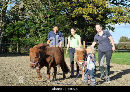 Heimatländer Equestrian Centre, Rebhuhn grün, West Sussex, UK. 1. November 2014. Personal und Familie genießen die warme November Sonnenstrahlen sammeln die Ponys der Nacht. Einen krassen aber einladend Unterschied zu einem regulären Herbst matschig und Kühler-Kampf. Bildnachweis: Julie Priestley/Alamy Live-Nachrichten Stockfoto