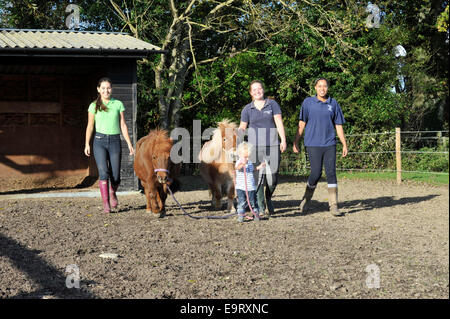 Heimatländer Equestrian Centre, Rebhuhn grün, West Sussex, UK. 1. November 2014. Personal und Familie genießen die warme November Sonnenstrahlen sammeln die Ponys der Nacht. Einen krassen aber einladend Unterschied zu einem regulären Herbst matschig und Kühler-Kampf. Bildnachweis: Julie Priestley/Alamy Live-Nachrichten Stockfoto