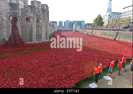 Zahlreiche Besucher bewundern die Anzeige von Mohn in den Graben des Tower of London, Vereinigtes Königreich. Stockfoto