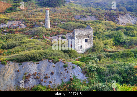 Blue Hills Zinn-Mine, Trevellas, Cornwall, England, Vereinigtes Königreich Stockfoto