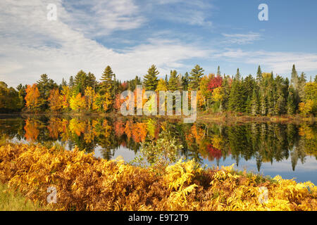 Pontook-Stausee am Androscoggin River entlang Route 16 in Dummer, New Hampshire USA während der Herbstmonate Stockfoto