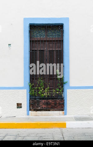 Weiße spanische Kolonialgebäude Fenster in getrimmt hellblau mit Fensterläden und dekorativen Schmiedeeisen Grill und Pflanzer, Campeche Stockfoto