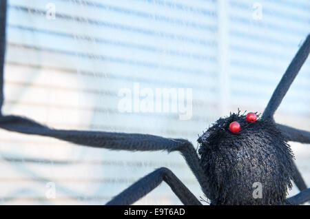 Gefälschte Halloween schwarze Spinne Dekoration am Fenster Stockfoto