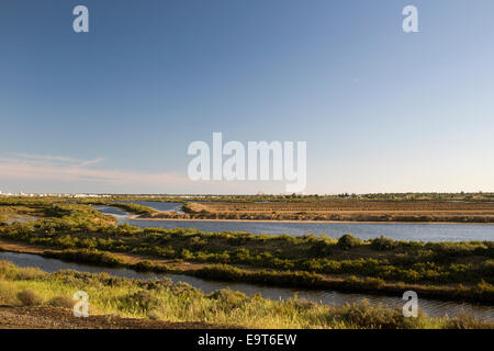 Salzpfannen neben dem Fluss Guadiana in der Nähe von Castro Marim, Algarve, Portugal. Stockfoto