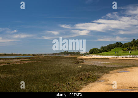 Ebbe in dieser Lagune in Quinta do Lago, Teil der Ria Formosa Naturpark, Algarve, Portugal. Stockfoto