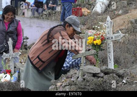 Lima, Peru. 1. November 2014. Eine Frau schmückt ein Grab, zum Gedenken an Allerheiligen, in der New Hope Friedhof von Lima, Peru, am 1. November 2014. Bildnachweis: Luis Camacho/Xinhua/Alamy Live-Nachrichten Stockfoto