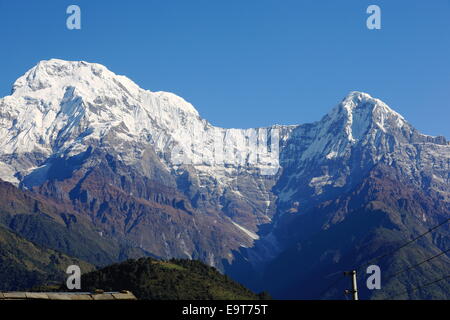 7219 ms.high Annapuna Süden und 6441 ms.high Hiun Chuli mounts aus Gurung Cottage Hotel in Ghandruk Dorf gesehen Stockfoto