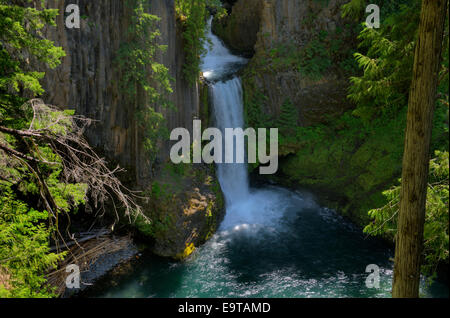 Toketee Falls, auf dem North Umpqua River im Douglas County, Oregon Stockfoto