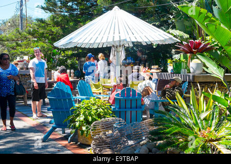Australisches Strandcafe Restaurant, Frühstücksbrunch im Boathouse Cafe in Palm Beach, Sydney, Australien Stockfoto
