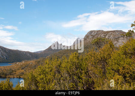 Cradle Mountain im Hintergrund mit dove Lake und Lake Lilla Vordergrund, Tasmanien, Australien Stockfoto