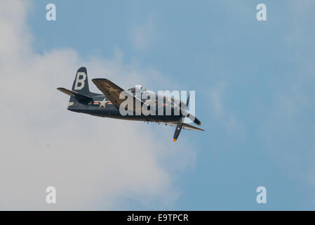 Duxford, Großbritannien - 13. Juli 2014: Vintage Grumman Bearcat im Flug bei Duxford Flying Legends Airshow Stockfoto