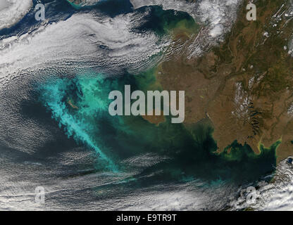 Große Blüten von Phytoplankton (wahrscheinlich Coccolithophores) Stockfoto