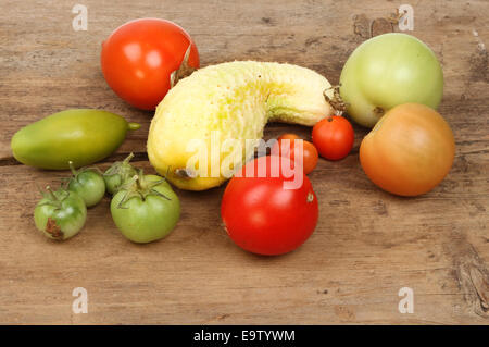 Auswahl von Reifen und unreifen Tomaten und stachelige Gurke auf einem verwitterten Holzbrett Stockfoto