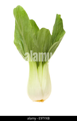 Pak Choi, Chinakohl isoliert gegen weiß Stockfoto
