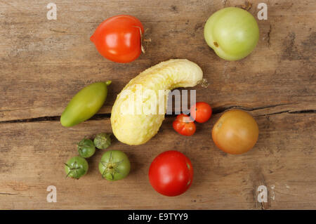 Auswahl von Reifen und unreifen homegrown Tomaten und Gurken auf einem Holzbrett Stockfoto