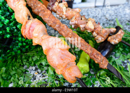 Rohes Fleisch am Spieß mit Gemüse Stockfoto