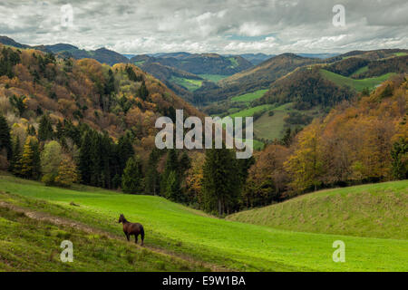 Herbst im Naturpark Thal, Jura-Gebirge, Schweiz. Stockfoto