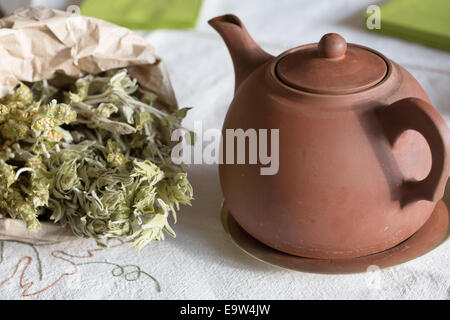 Teekanne und Kräuter Tee Stockfoto