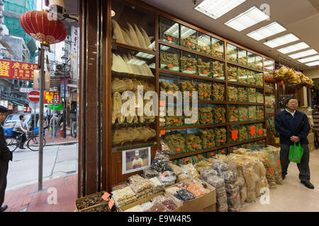 Geschäft mit Haien die Flossen, Sheung wan, Hong Kong Stockfoto