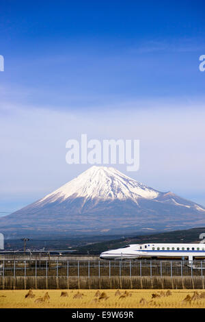 Mt. Fuji in Tokio, Japan. Stockfoto