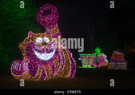 Sunderland UK, 2. November 2014, zog die letzte Nacht der Sunderland Illuminationen eine große Menge von Zuschauern zu Alice im Wunderland Thema Anzeige im Roker Park. (c) Washington Imaging/Alamy Live-Nachrichten Stockfoto