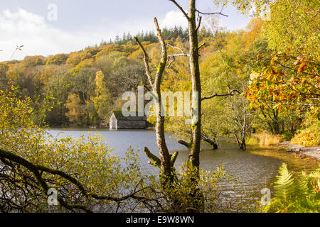 Die schöne herbstliche Landschaft entlang des Seeufers des Lake Windermere, Lake District, Cumbria, England. Stockfoto