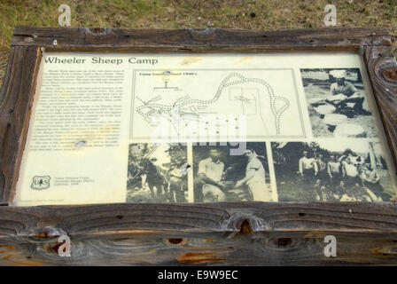 Wheeler Schafe Camp interpretativen Board, interpretierende Fläche Kyburz, Yuba-Donner Scenic Byway, Tahoe National Forest, California Stockfoto