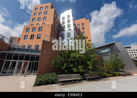 Ray und Maria Stata Center oder Gebäude 32, entworfen von Frank Gehry, Cambridge, Massachusetts. Stockfoto