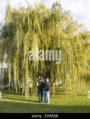 Ein Mann und eine Frau stehen vor einem Baum Trauerweide. Stockfoto