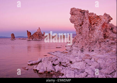 Mono Lake Tufa Turm Formationen in der Abenddämmerung, Lee Vining, California. Stockfoto