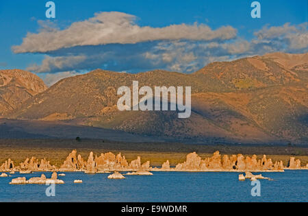 Mono Lake Tufa Formationen in der Morgendämmerung mit östlichen Ausläufer der Sierras im Hintergrund. Stockfoto