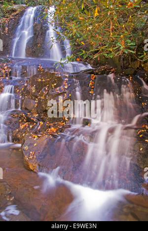 Laurel Wasserfälle entlang Little River Road im Herbst im Great Smoky Mountains National Park. Stockfoto