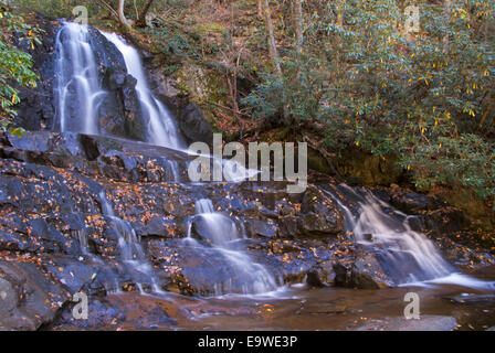 Laurel Wasserfälle entlang Little River Road im Herbst im Great Smoky Mountains National Park. Stockfoto