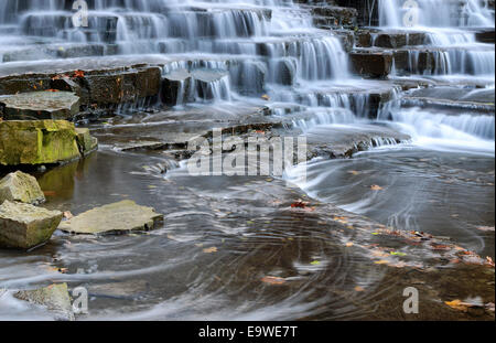 Albion fällt ein Wasserfall mit sedimentären Felsen Stockfoto