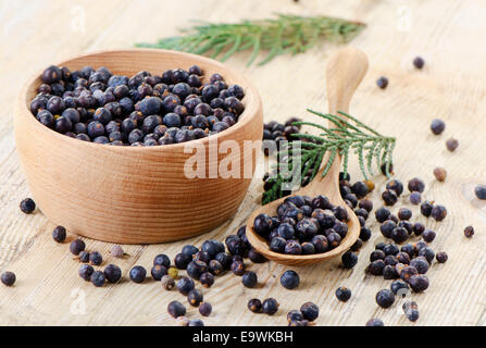 Holzschale mit Samen von Juniper. Selektiven Fokus Stockfoto