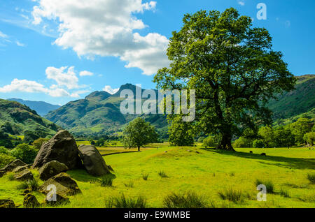 Langdale Pikes aus in der Nähe von Kopte Howe in Great Langdale im Lake District Stockfoto