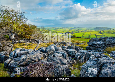 Kalkstein Pflaster auf Holmepark fiel in der Nähe von Burton in Kendal, Cumbria Stockfoto